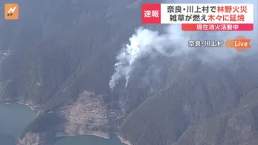刈った雑草を燃やしていたら付近に燃え移ってしまった」奈良県川上村で山火事現在も延焼中