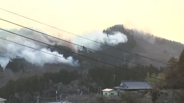 どうして俺が早く助けに行けなかったんだろう」火の手に遮られ…歳父と゛無念の対面゛一部地域で避難指示解除も複雑な思い【大船渡市山火事】プライムオンライン