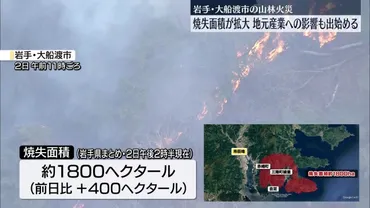 大船渡市の山林火災、焼失面積さらに拡大地元産業へも影響(日テレ)