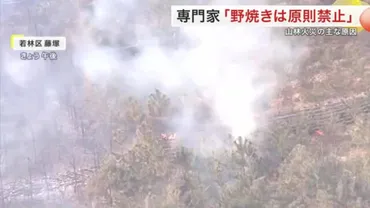 専門家「野焼きは原則禁止」山林火災の主な原因防火のポイントとは〈仙台〉