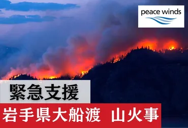 岩手県大船渡での山火事被害を受け、緊急支援チームが出動
