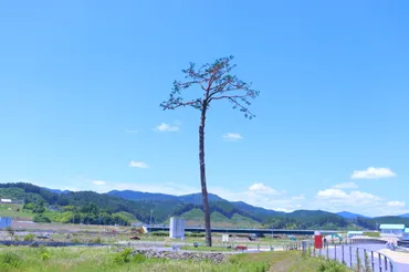 震災・復興】震災遺構奇跡の一本松