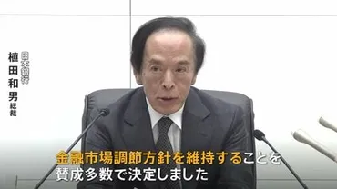 日銀金融政策決定会合で追加利上げを「見送り」植田総裁会見中にドル=円台半ばまで円安加速