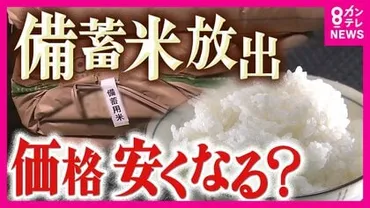 米の値段は安すぎた」と専門家『備蓄米』入札開始で変化