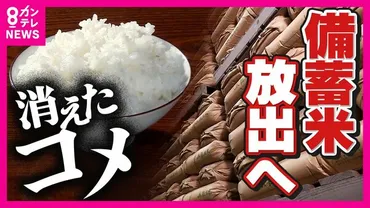 朝・夜キロごはん」野球強豪校も悲鳴コメ価格高騰で政府「備蓄米放出」へ本当に安くなる?価格問題で稲作の未来にも課題が