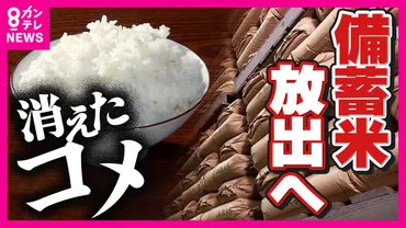 朝・夜キロごはん」野球強豪校も悲鳴コメ価格高騰で政府「備蓄米放出」へ本当に安くなる?価格問題で稲作の未来にも課題がプライムオンライン