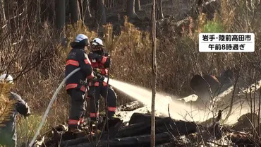 警戒】火の勢い弱まるもまだ鎮火至らず…岩手で再び山林火災発生し世帯人に避難指示現場では乾燥・強風注意報が発表放送局のニュース