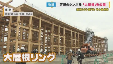 万博のシンボル「大屋根」建設費億円で『世界最大級の木造建築物』に閉幕後は解体予定に批判も
