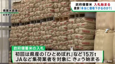 政府備蓄米の入札か始まる農家は価格安定を期待も注視