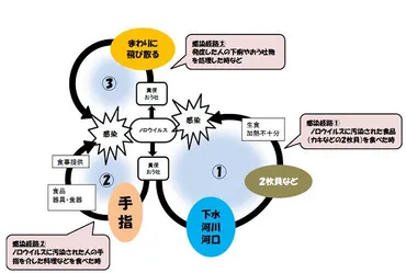 ノロウイルスにご注意を!!可児市