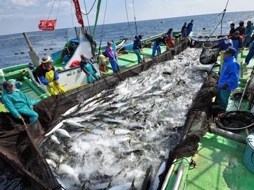 元・限界集落の若返り策!浜を動かし、地域を変えた「早田漁師塾」