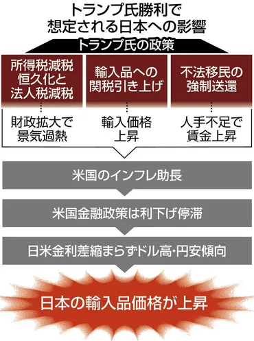 トランプ物価高」が来る?アキダイ社長も警戒アメリカ第一主義は日本の家計にどんな影響があるのか:東京新聞デジタル
