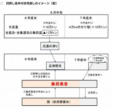 需給俯瞰】基本指針改定を了承、備蓄米の買戻し条件付売渡可能に、買戻しは年以内食品産業新聞社ニュース