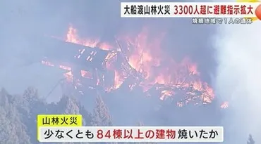 全部燃えるんだ」住民の悲痛な声山林火災で人に避難指示焼損地域で人遺体発見大船渡市の空を覆う煙