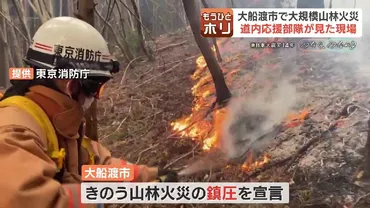 岩手・山林火災】記者が見た被災地の現実継続的支援と地域連携の必要性専門家は警鐘…地球温暖化で高まる山林火災のリスク