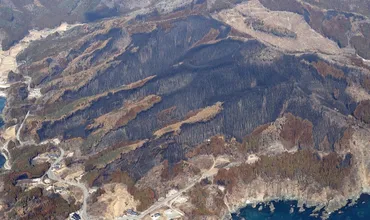大船渡市の面積「%」焼失山林火災鎮圧、避難指示は全面解除
