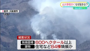 山火事゛相次ぐ…自然発火で?→林野庁「ほとんど人間の不注意」割は「たき火」から「野焼き」は可?【みんなのギモン】(日テレ)