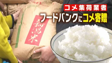 深刻な米不足゛に苦労も…集荷業者がフードバンクにコメトン寄贈「何か力になればとギリギリのラインで」難しい米の価格設定…備蓄米流通に懸念の声も新潟