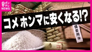 備蓄米放出でも゛売り渋り゛解消せず「売るコメないと商売できん」投機目的ないストックと話す卸売業者「コメ価格下がるが乱高下不安」と専門家(プライムオンライン)