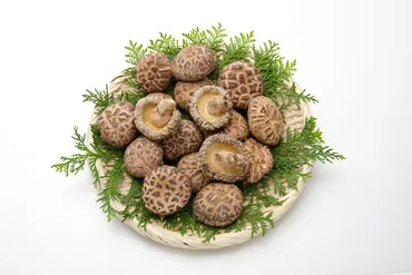 大分グルメこれ知っちょん?①乾しいたけ(干し椎茸)