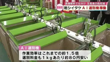 乾しいたけをで自動に仕分け作業効率は倍に生産者の期待高まる大分の特産品