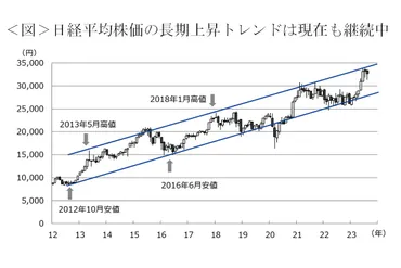 日本株式、長期上昇トレンド継続=賃上げ、企業改革、業績改善を材料に-三井住友DSアセットマネジメントの市川氏
