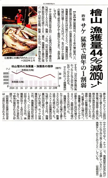 道新記事「サケの漁獲量減少」の真相は?!