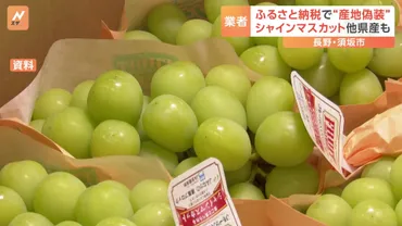ふるさと納税のシャインマスカットトン以上産地偽装長野県須坂市