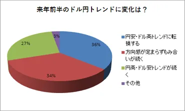 米大統領選挙後のドル円相場、トランプリスク後退で大きな変化なし?(月調査)
