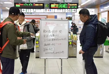 強風の影響北陸新幹線が一時運転見合わせ佐久平ー軽井沢駅間で列車が線路内の倒木と接触