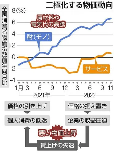 物価高でも価格転嫁できないサービス業値上げなら顧客減少の不安モノとの二極化鮮明苦悩の経営:東京新聞デジタル