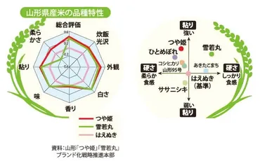 つや姫」ってどんなお米?コシヒカリ・雪若丸との違いやおいしさの特徴を解説!