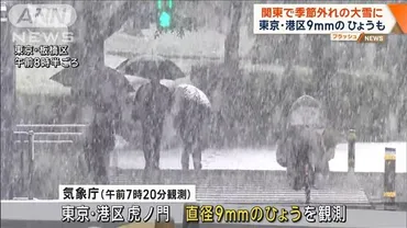 強い寒気で大気不安定関東で季節外れの大雪に東京・港区でのひょうも(テレ朝)