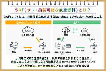 (持続可能な航空燃料)とは?特徴や製造方法、開発企業を紹介:朝日新聞