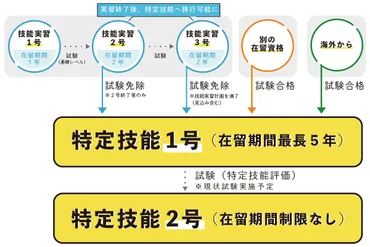 特定技能とはどんな在留資格?技能実習との違い・制度の詳細・採用方法をわかりやすく解説