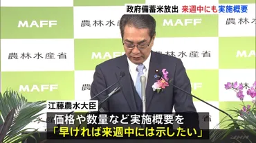コメ価格高騰政府備蓄米の放出、「実施に向けての準備を急がせております」江藤農水大臣