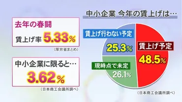 前回春闘の賃上げ率は゛%゛…超だった大企業との格差広がる中小企業年も約分のが賃上げ予定なし東海テレビ