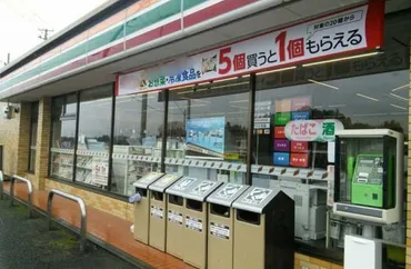 セブンイレブンら大手コンビニの訪日外国人観光客向けサービス:社会インフラとして電子決済、多言語対応など多様な取り組み