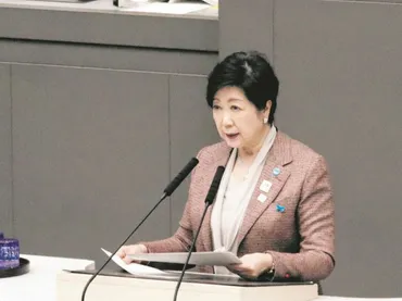 東京都「第子から保育料無償化」小池百合子知事の公約実現へ認可外施設も念頭「年月目指す」:東京新聞デジタル