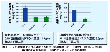 カドミウム濃度の低い玄米とナスを生産する新技術
