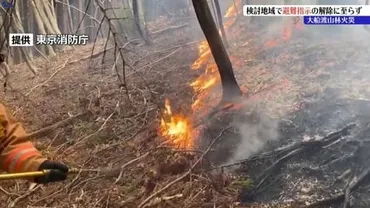 山火事】大船渡市の山林火災きょうは避難指示解除なし見送られた理由を専門家に聞く岩手