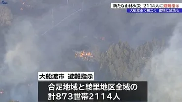 山火事】岩手県大船渡市の山林火災延焼中消火活動続く