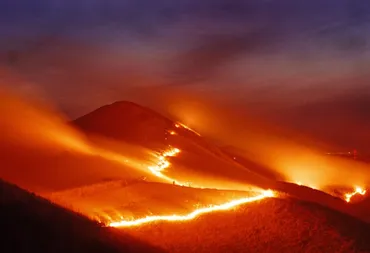 嘘でしょ!?自然発火が原因で山火事になるの?–火事手続き