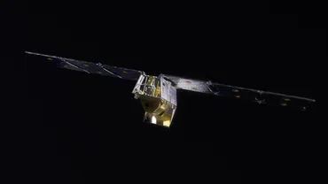 基の人工衛星とで世界中の山火事を見張るグーグルの新プロジェクト
