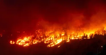 世界で山火事が拡大、地球温暖化との関係は?人間活動の影響も