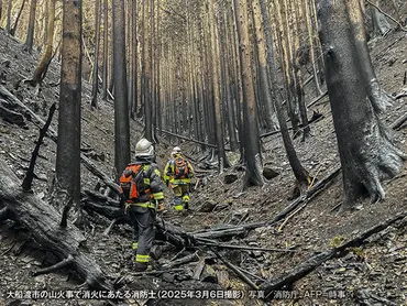 地球温暖化で世界的に山火事が多発森林火事リスクは年までに増か(年月日)