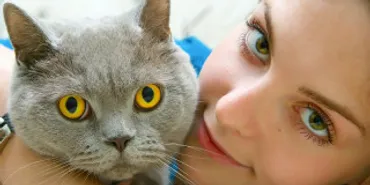 猫系女子の特徴とは?男子がついトリコになってしまう魅力や見た目・内面の特徴を徹底解剖!