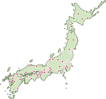 標本木の桜開花予想日【】