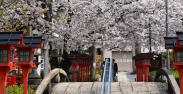 年の桜の穴場】京都の混雑しないおすすめスポットまとめ選