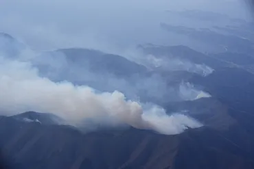 大船渡山火事、樹木の葉まで燃えたリアス式「火が山の斜面上る」